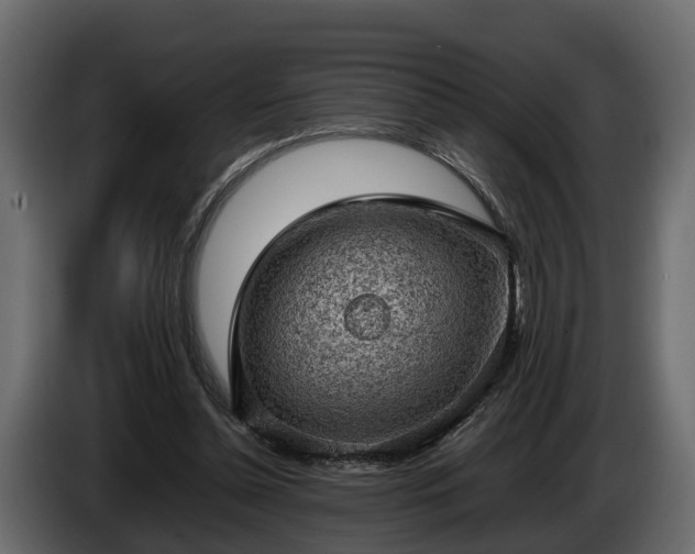 X0000085740348200703231115