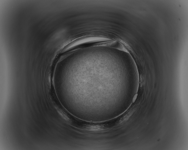 X0000085740349200703231115