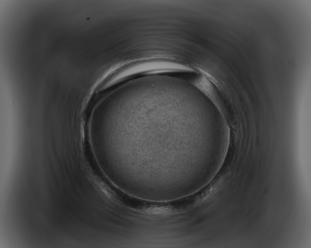 X0000085740350200703231115