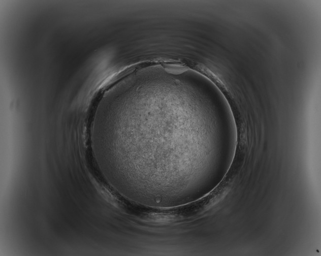 X0000085740351200703231115