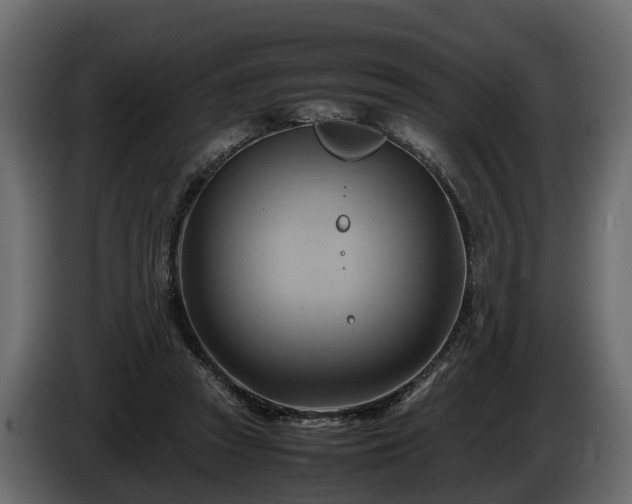 X0000085740353200703231115