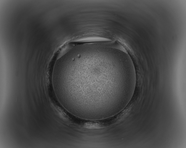 X0000085740354200703231115