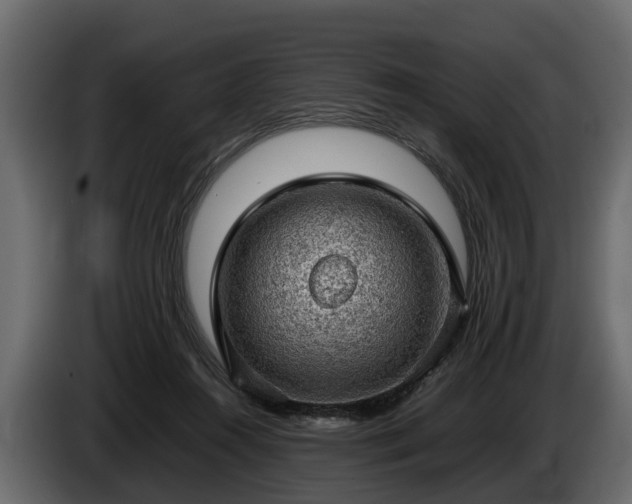 X0000085740360200703231115