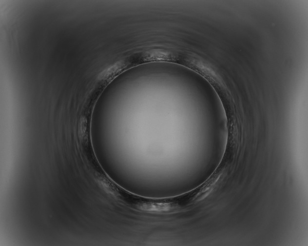 X0000085740361200703231115