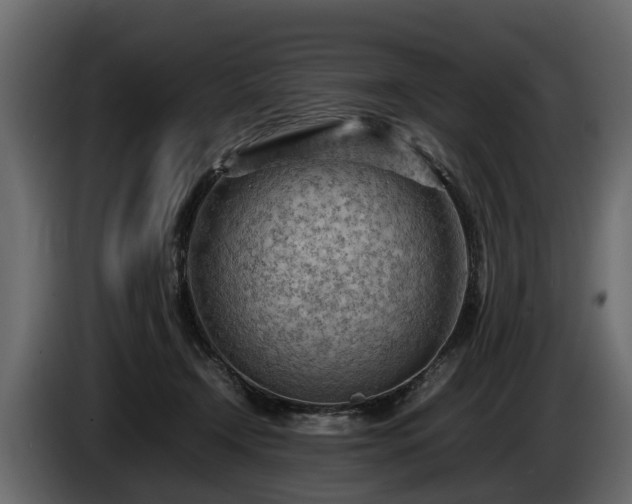 X0000085740366200703231115