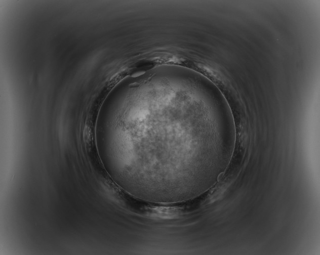X0000085740371200703231115