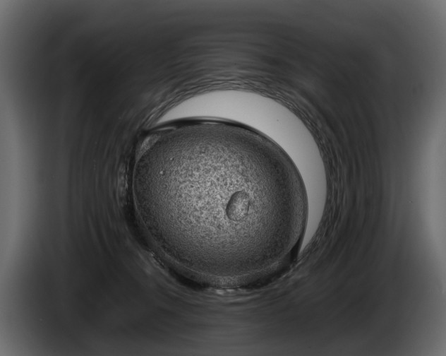 X0000085740372200703231115