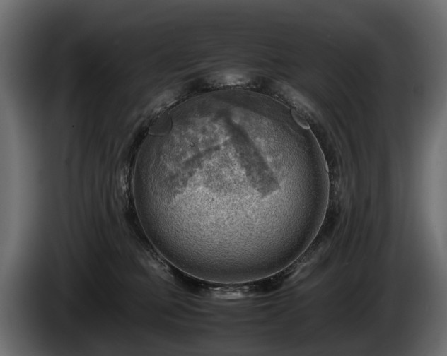X0000085740373200703231115