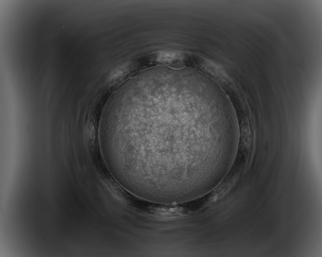 X0000085740375200703231115