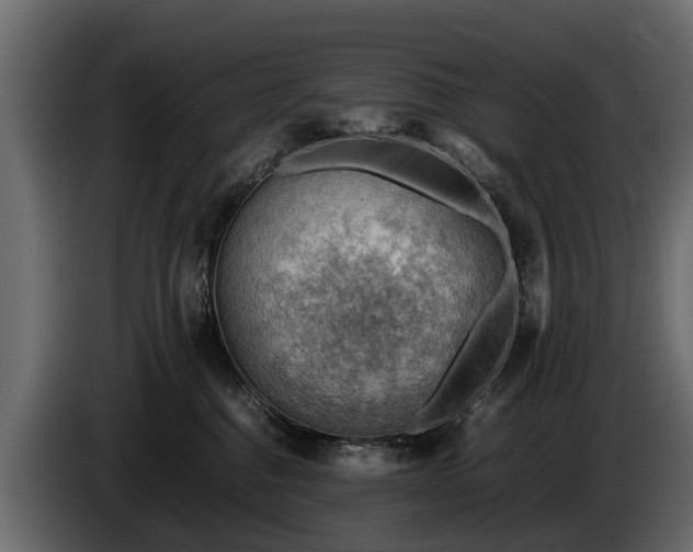 X0000085740376200703231115