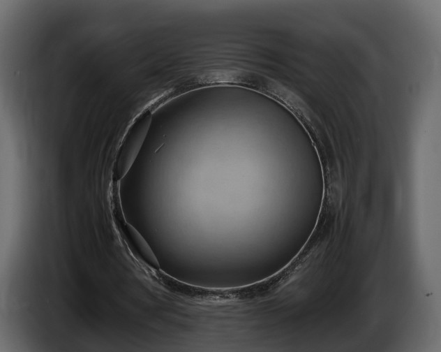 X0000085740386200703231115