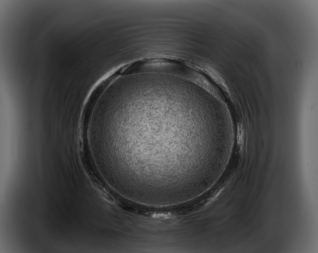 X0000085740388200703231115