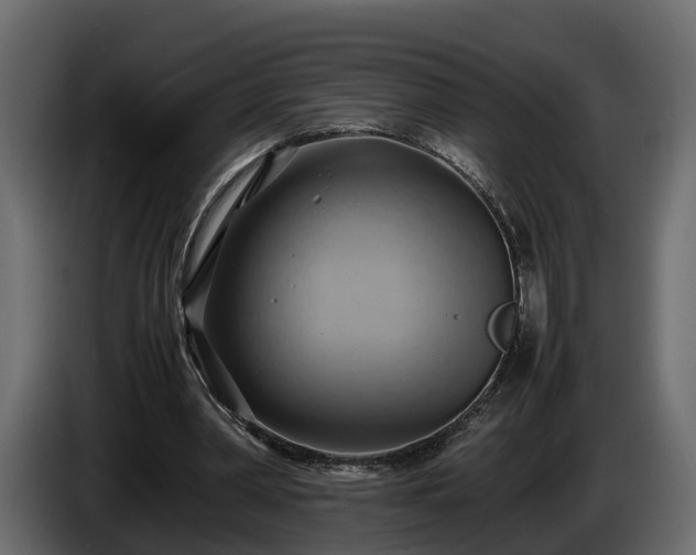 X0000085740390200703231115