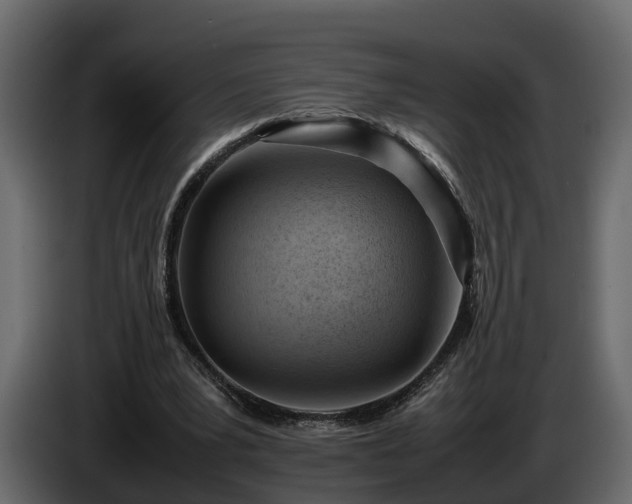 X0000085740391200703231115