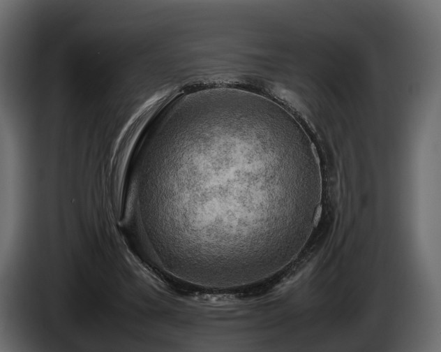 X0000085740395200703231114