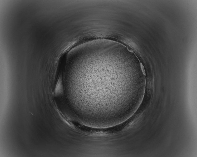 X0000085740397200703231114