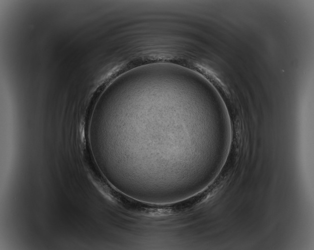 X0000085740398200703231114