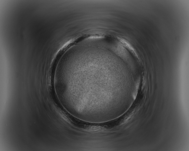 X0000085740399200703231114