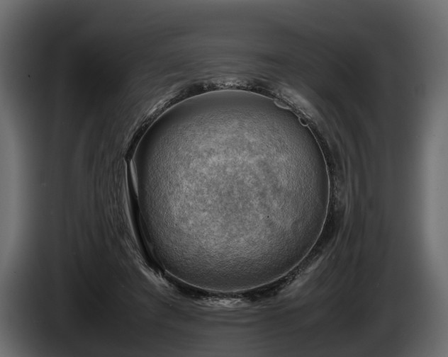 X0000085740401200703231114