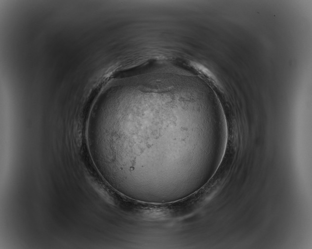 X0000085740402200703231114
