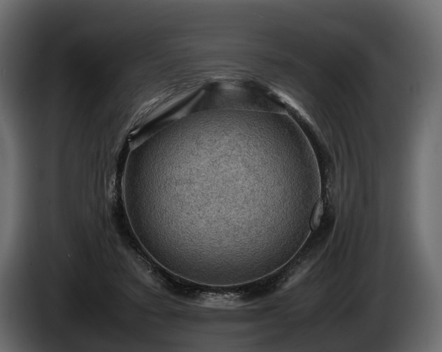 X0000085740403200703231114