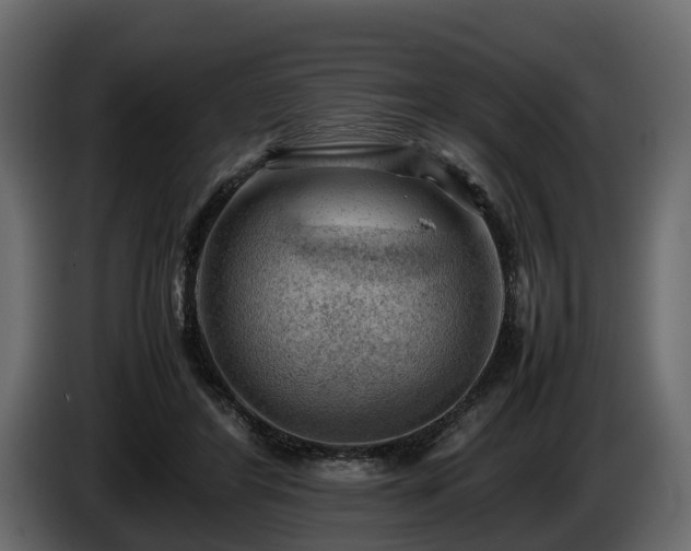 X0000085740404200703231114