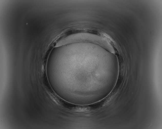 X0000085740405200703231114