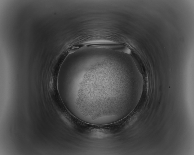 X0000085740408200703231114