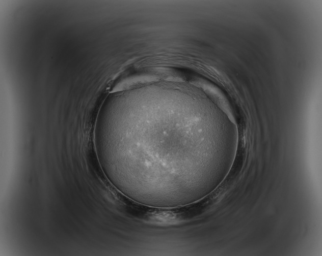 X0000085740409200703231114