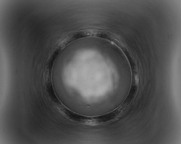 X0000085740411200703231114