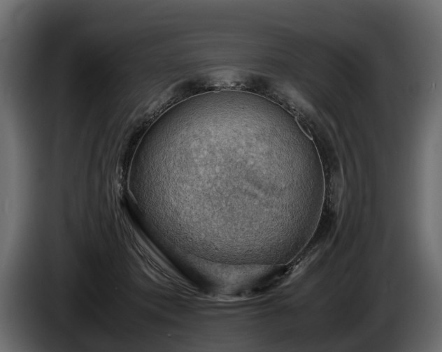 X0000085740413200703231114