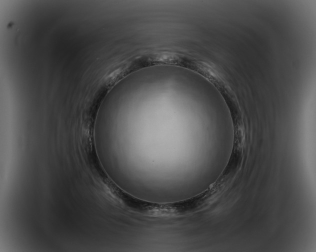 X0000085740415200703231114