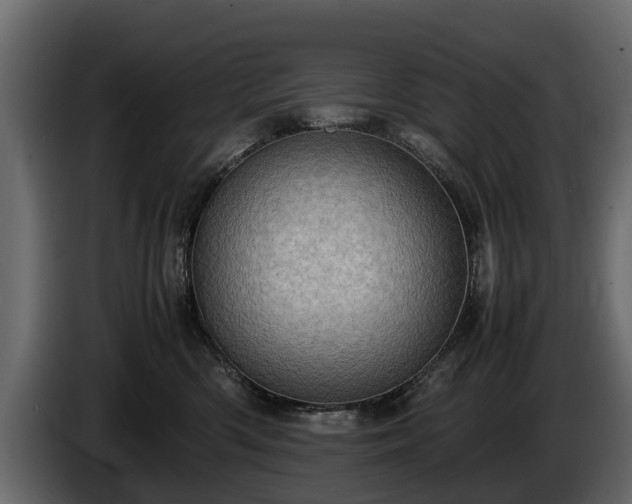 X0000085740426200703231114