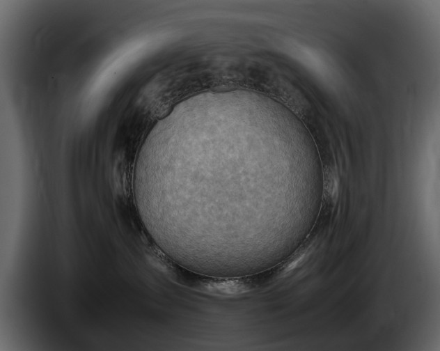 X0000085740431200703231114