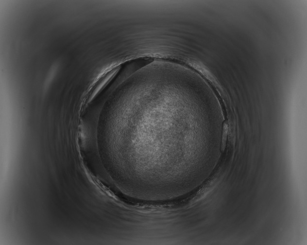 X0000085740434200703231113
