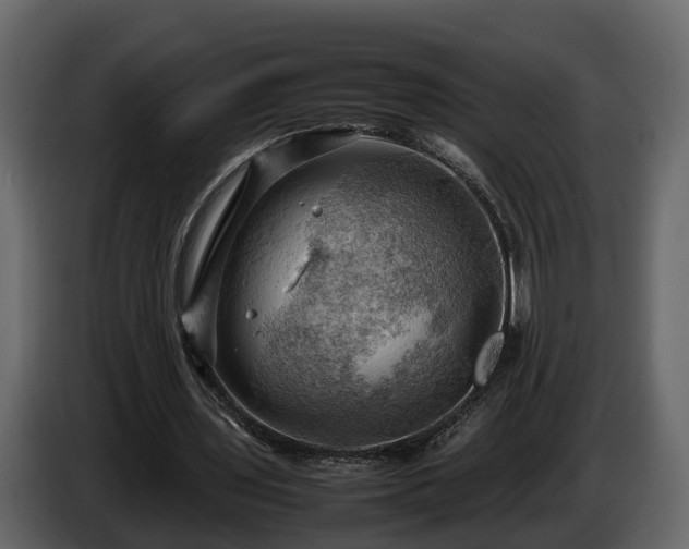 X0000085740435200703231113
