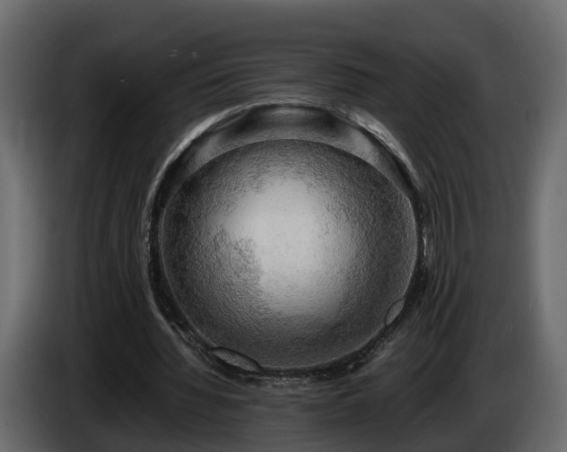 X0000085740436200703231113