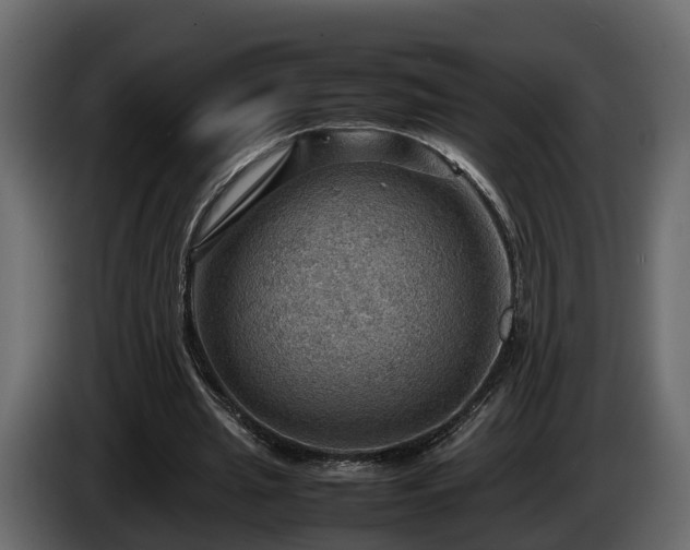 X0000085740437200703231113