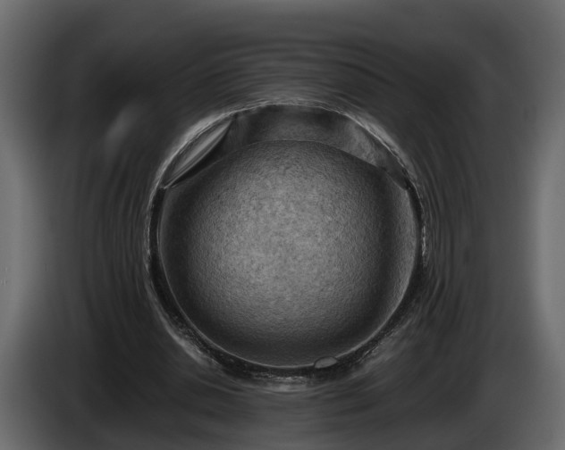 X0000085740438200703231113