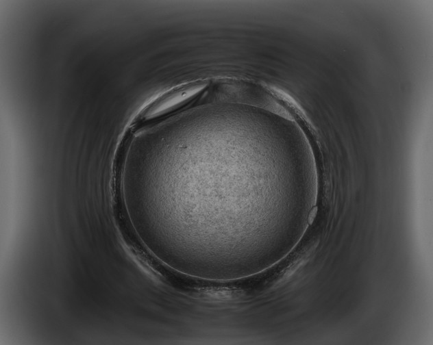 X0000085740439200703231113