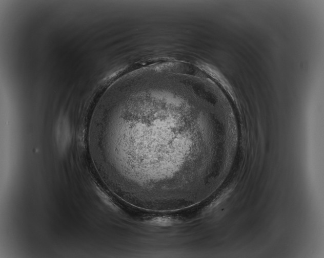 X0000085740441200703231113