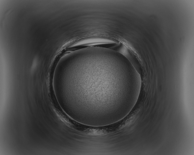 X0000085740442200703231113