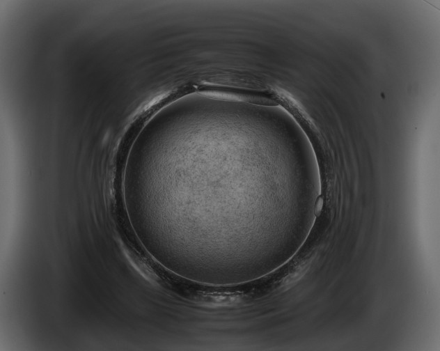 X0000085740443200703231113