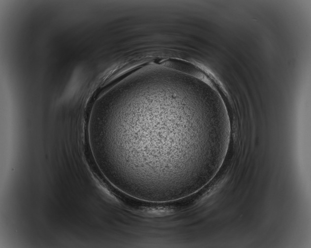 X0000085740445200703231113