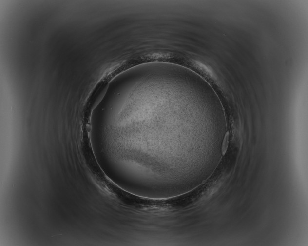 X0000085740447200703231113