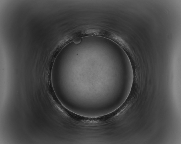X0000085740449200703231113