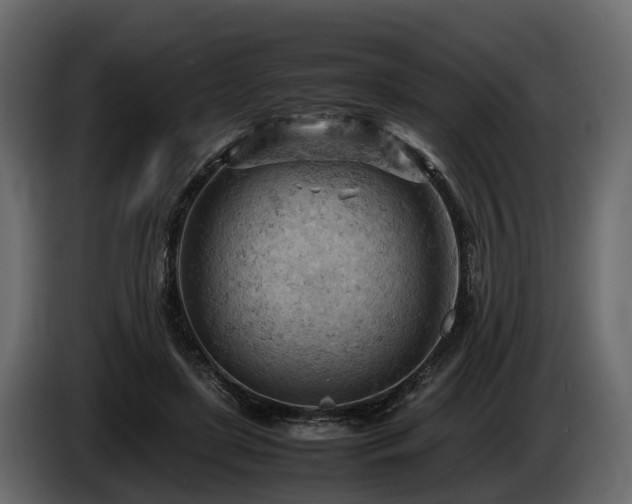 X0000085740451200703231114