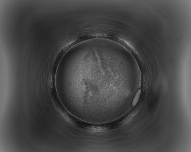 X0000085740453200703231114