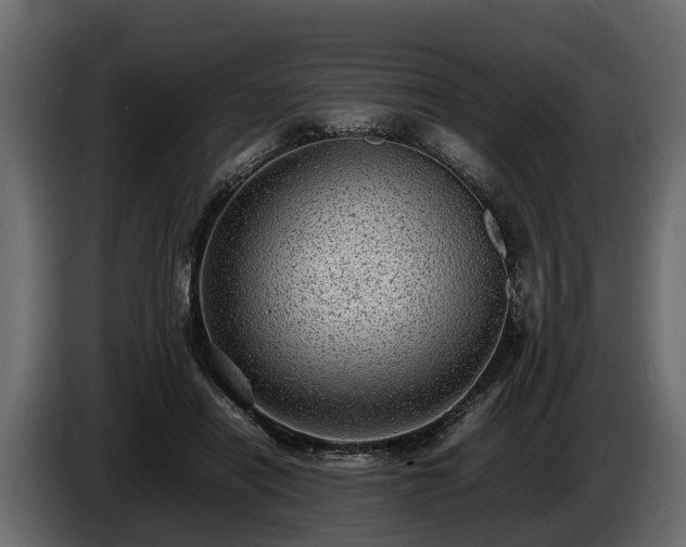 X0000085740454200703231114