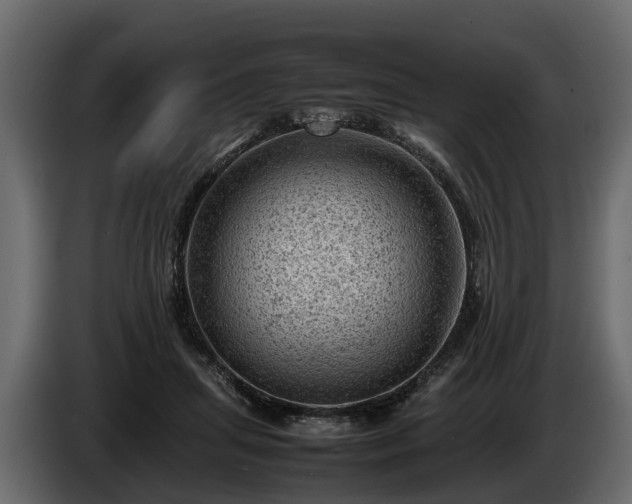 X0000085740455200703231114